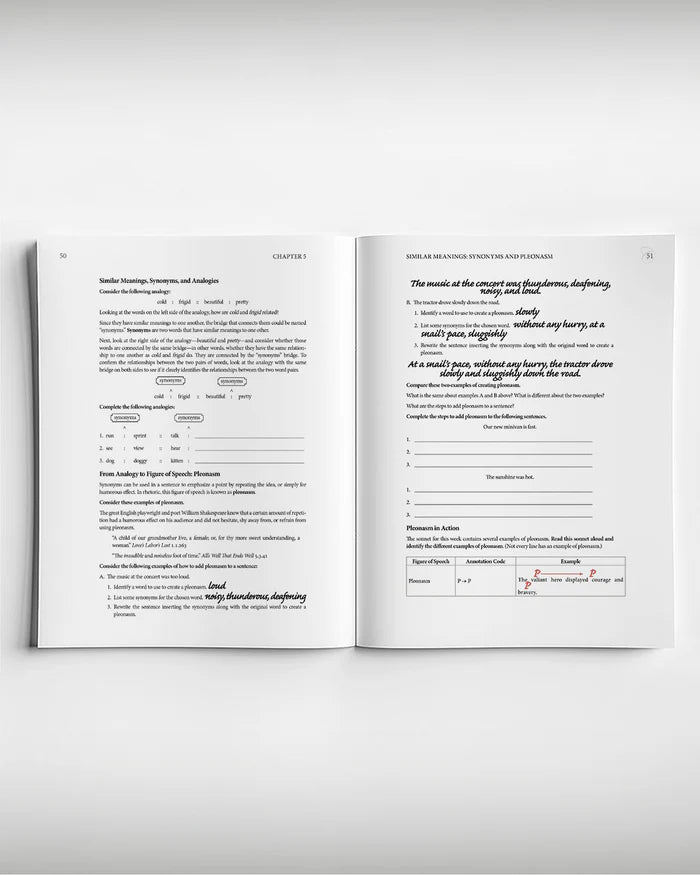 Reasoning Together Analogies