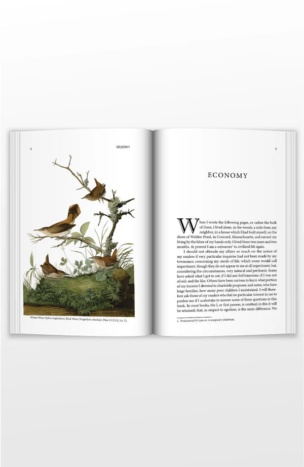 Copper Lodge Library: Walden: Or, Life in the Woods