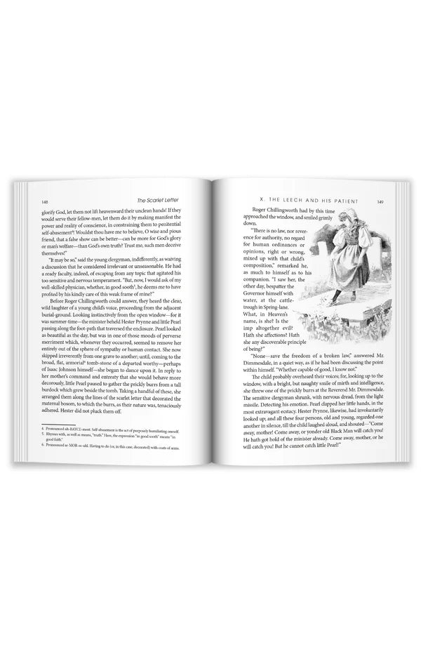 Copper Lodge Library: The Scarlet Letter