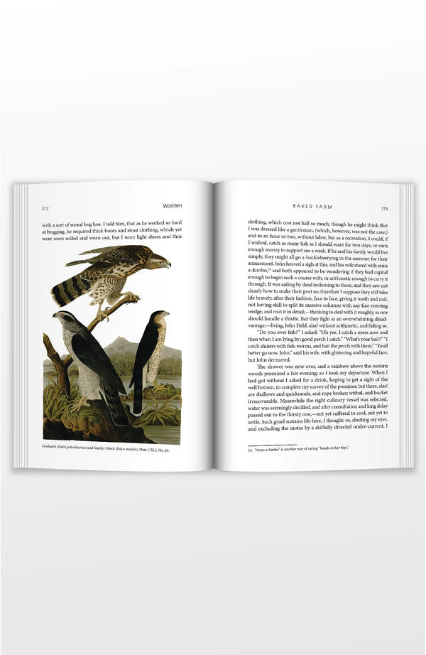 Copper Lodge Library: Walden: Or, Life in the Woods