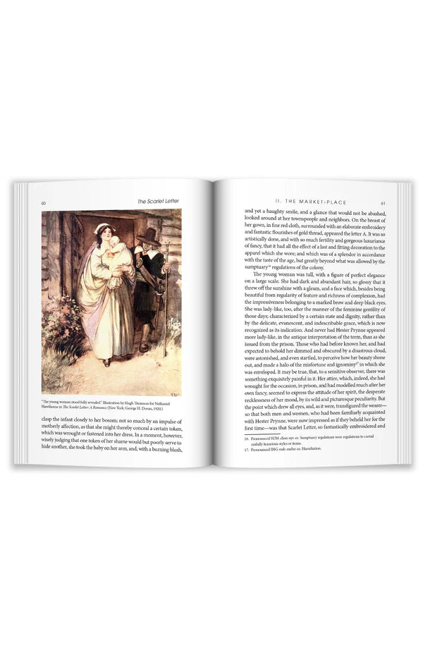 Copper Lodge Library: The Scarlet Letter