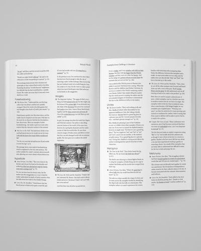 Wakeful Words: Classical Rhetorical Techniques in Literature
