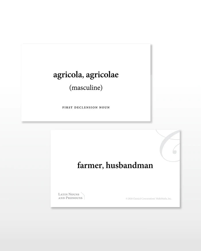Latin Nouns and Pronouns Flashcards