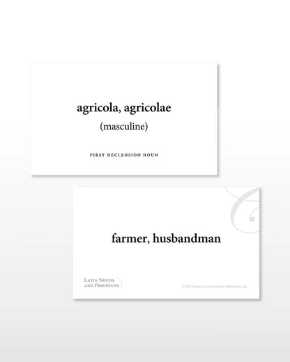 Latin Nouns and Pronouns Flashcards