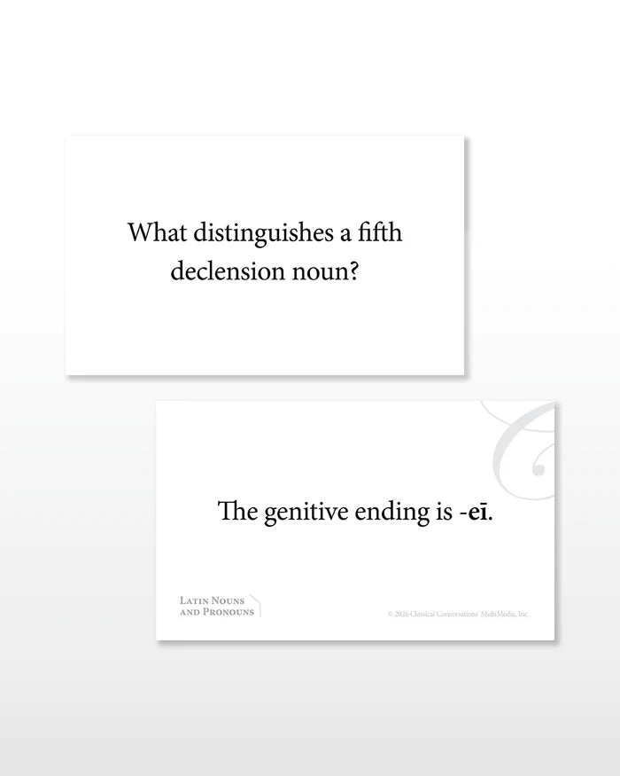 Latin Nouns and Pronouns Flashcards