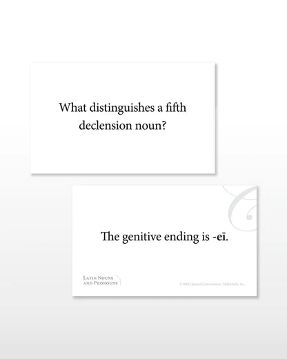 Latin Nouns and Pronouns Flashcards