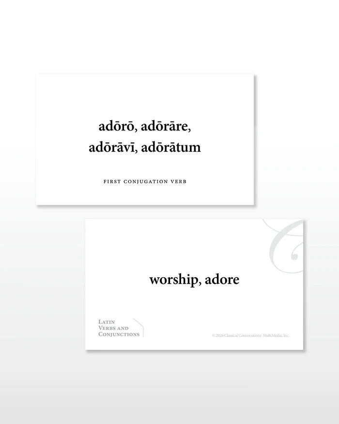 Latin Verbs and Conjunctions Flashcards
