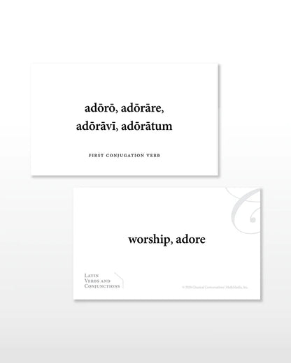 Latin Verbs and Conjunctions Flashcards