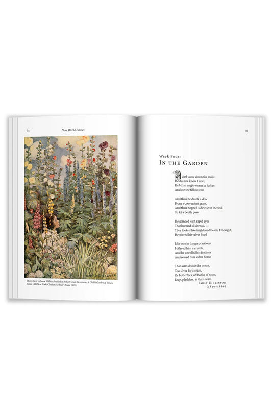 Copper Lodge Library: NEW WORLD ECHOES